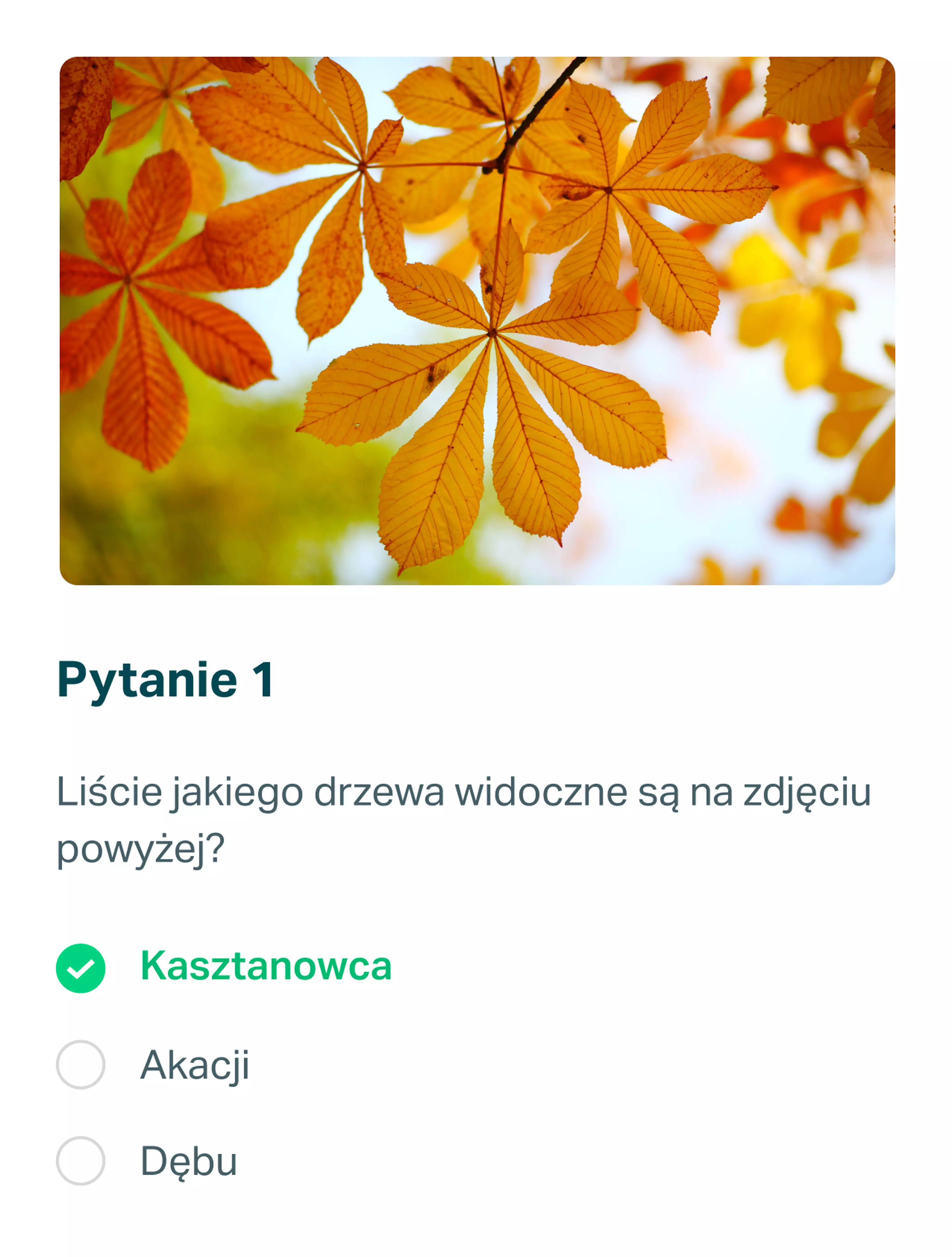 Pytanie o liście drzew