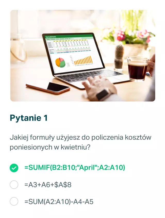 CTA-v1-PL-Business-Excel