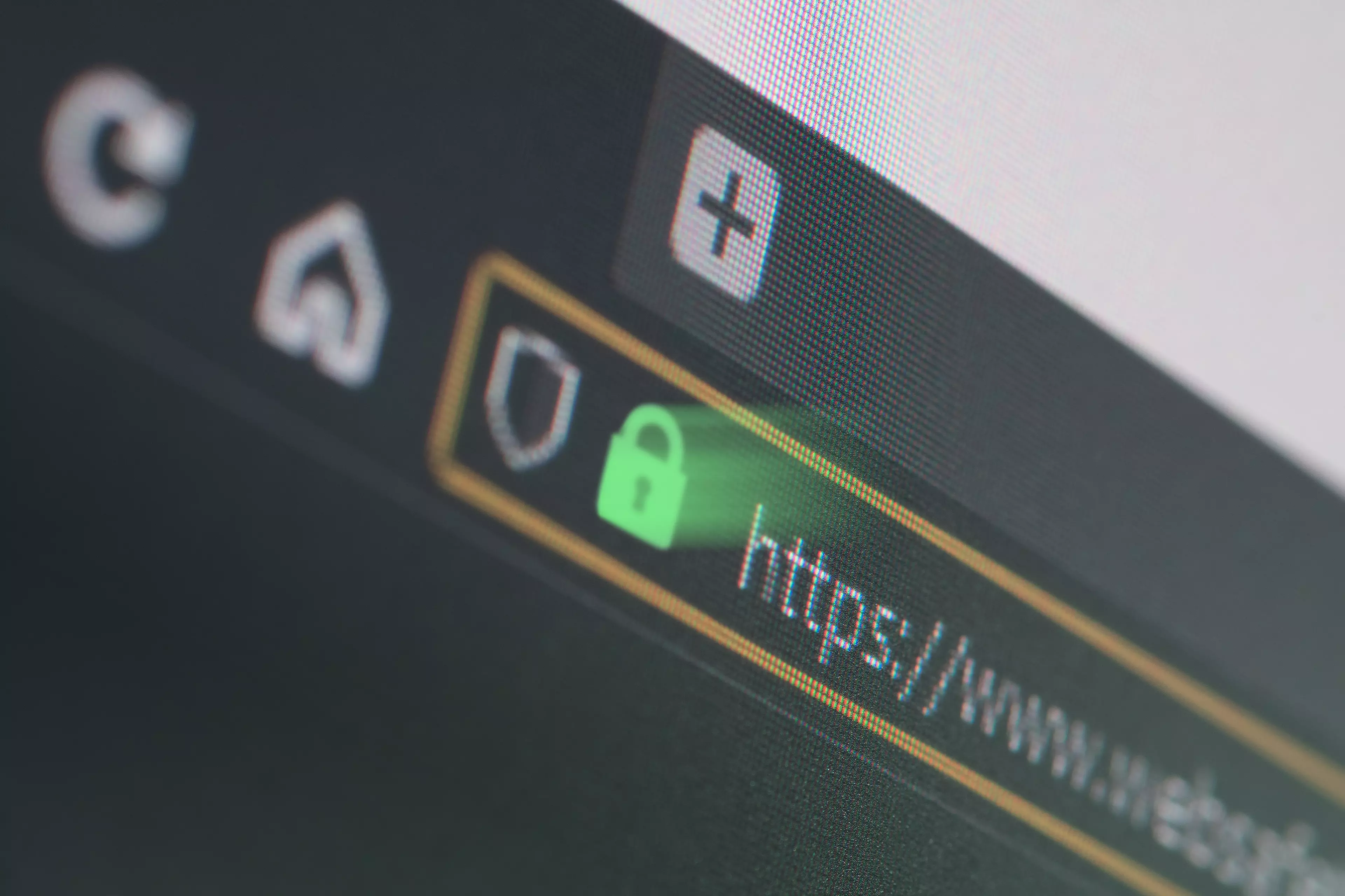  Web browser's address bar with a shining, green padlock icon.